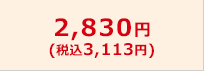 2,830円（税込3,113円）
