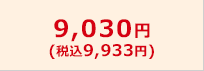 9,030円（税込9,933円）