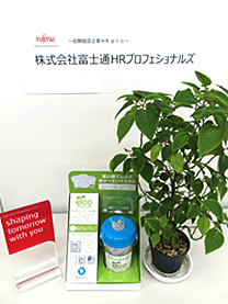 ※株式会社富士通HRプロフェショナルズ様にて撮影