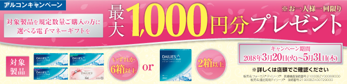 電子マネーギフト最大1,000円分プレゼント