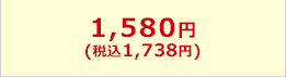 1,580円(税込1,738円)