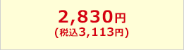 2,830円(税込3,113円)