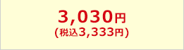 3,030円(税込3,333円)