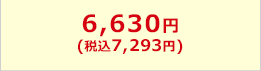 6,630円(税込7,293円)