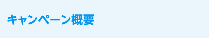 キャンペーン概要